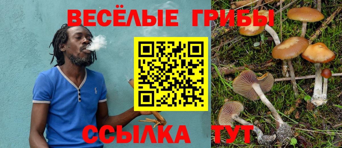 Псилоцибиновые грибы прущие грибы Лениногорск
