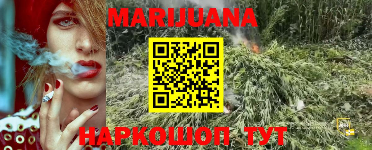 Канабис индика  Конопля сатива  Лениногорск  Бошки марихуана план  Бошки Шишки OG Kush  Вход с VPN 